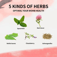 Tisane Équilibre Hormonal Féminin