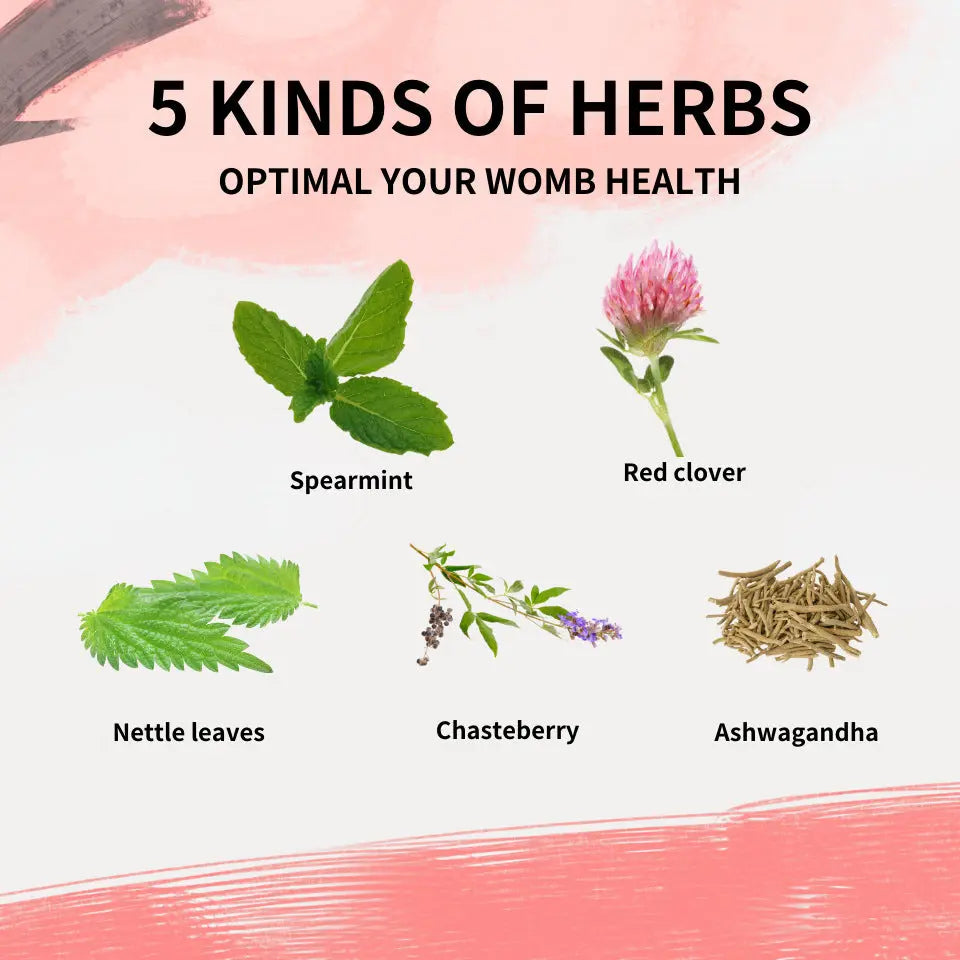 Women's Hormone Balance Herbal Tea Sonocouture