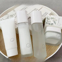 Camellia Yeast Set Sonocouture