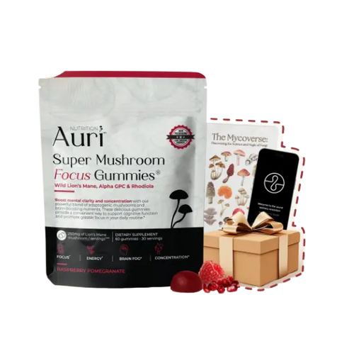 Pilzkomplex-Kapseln mit Löwenmähne, Reishi & Chaga für Immunsystem, Fokus und Energie