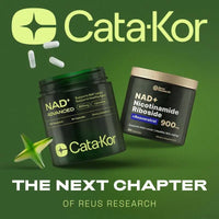 NAD Nicotinamide Sonocouture